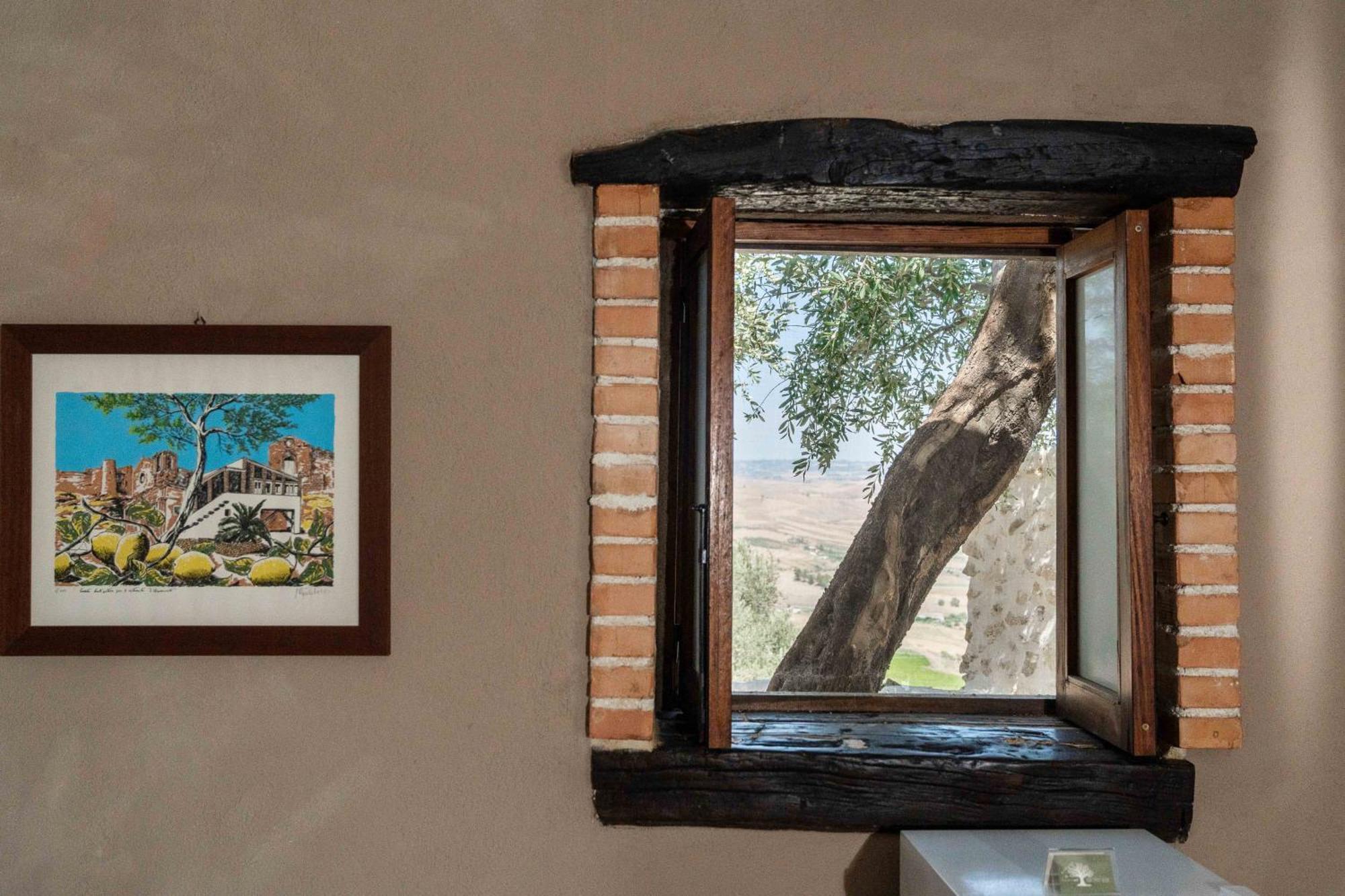 Bed and Breakfast Roba Degli Ulivi Агрідженто Екстер'єр фото